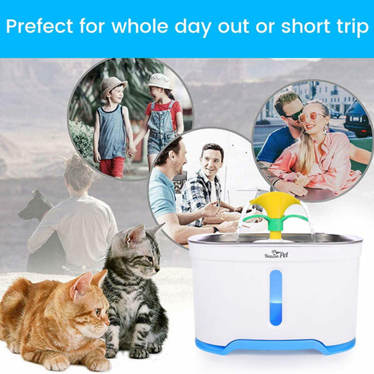 Beacon pet on sale water fountain